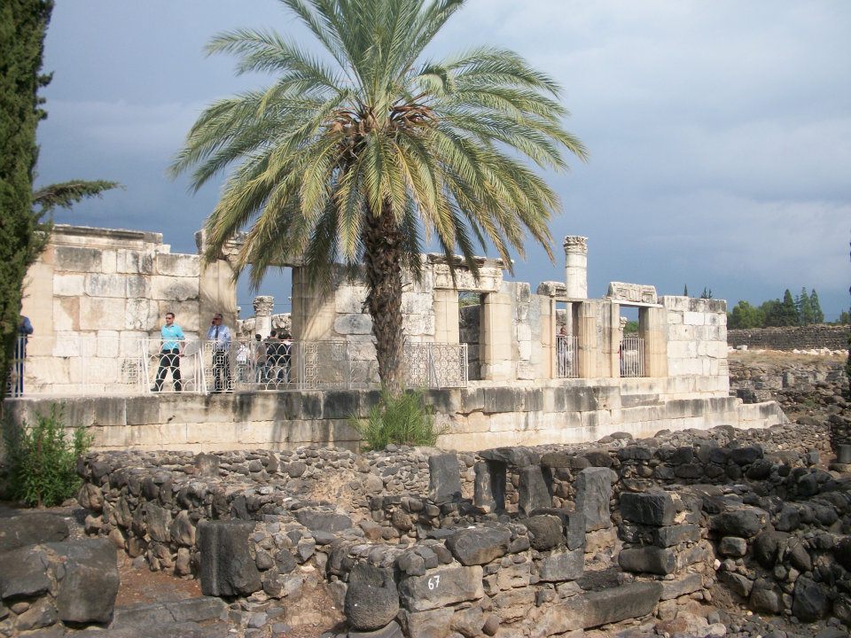 Capernaum - Photo (C) By Pierre Zuccarelli