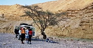 Negev Desert Jeep Tour